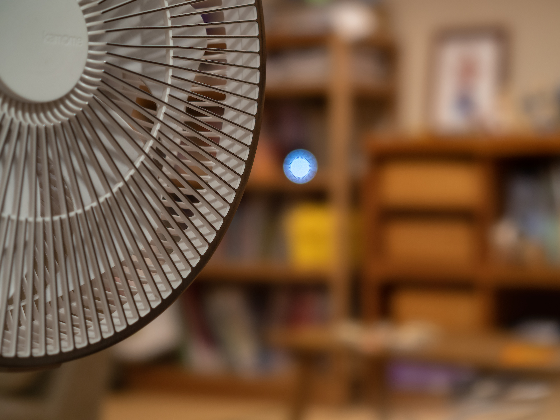 f:id:fridaynight:20191108191758j:plain