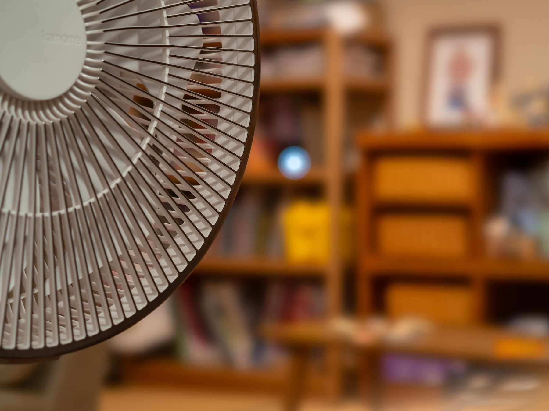 f:id:fridaynight:20191108192058j:plain