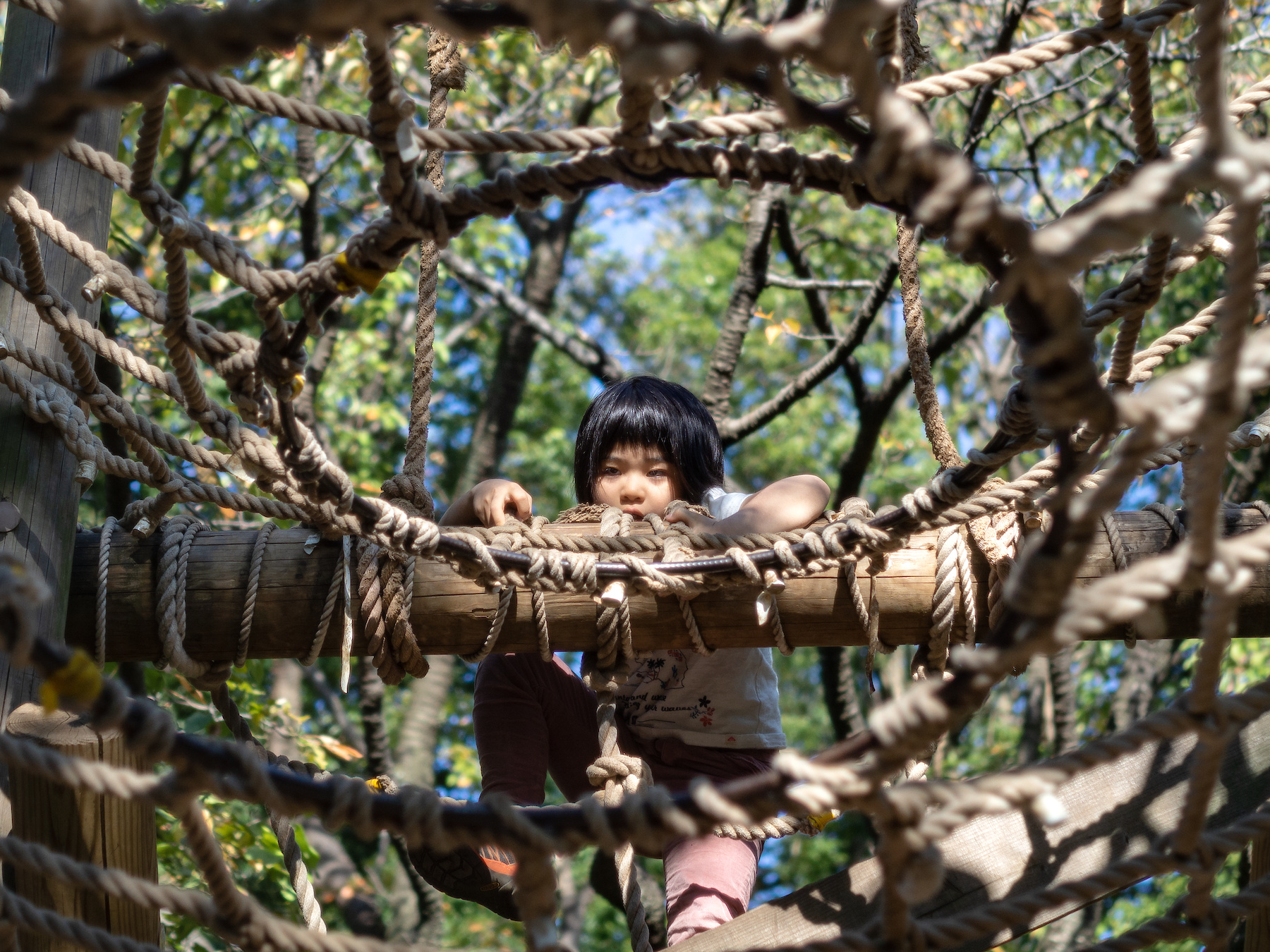 f:id:fridaynight:20191110123622j:plain