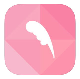 ピクトリー の最終形態 Instagram と比較してみた 日本のコミュニティ系snsは今後どうなる