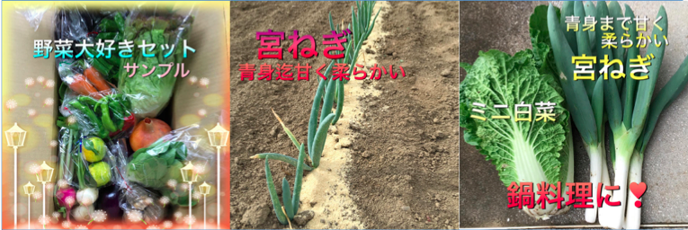 f:id:fril:20171110154459p:plain f:id:fril:20171110154459p:plain