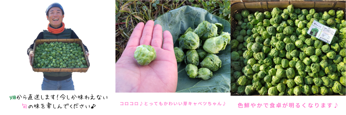f:id:fril:20220210200413p:plain