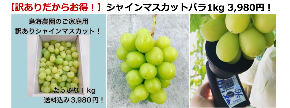�� �V���C���}�X�J�b�g1kg3980�~ �_�ƒ��������ȏ��i����