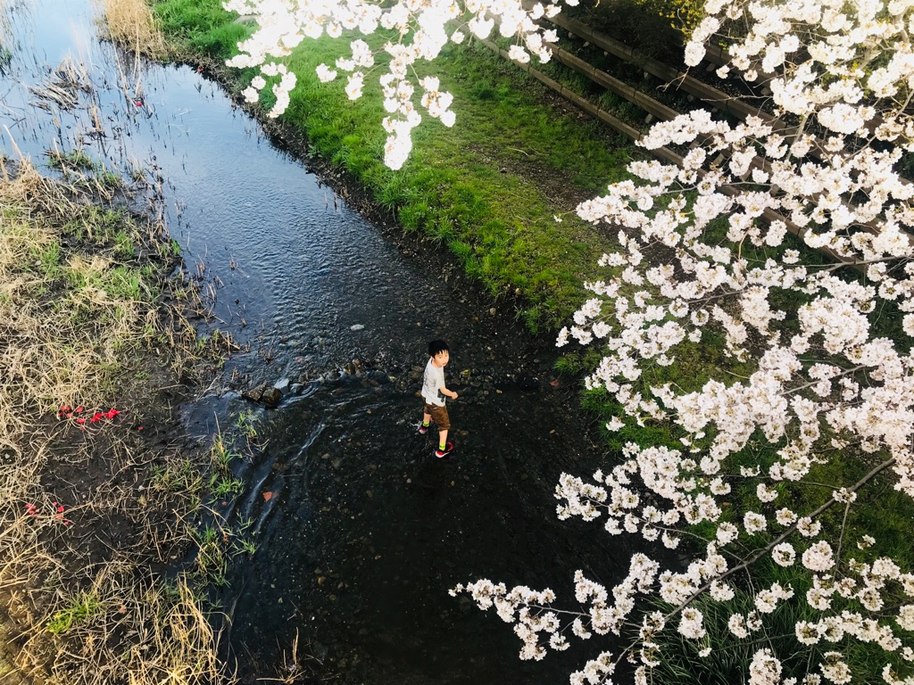 f:id:frillcon:20180403203305j:plain f:id:frillcon:20180403203305j:plain