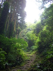 f:id:frkw1045:20090814105501j:image