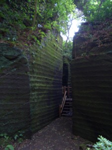 f:id:frkw1045:20090814121056j:image