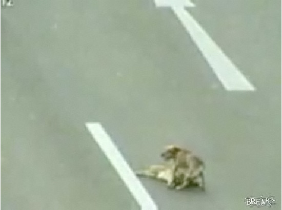 f:id:frnk:20081205180847j:image