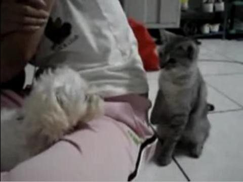 f:id:frnk:20081215162439j:image