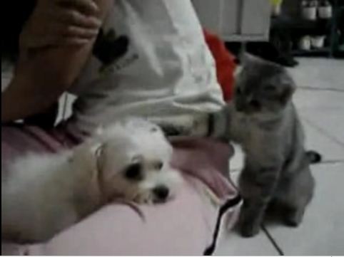 f:id:frnk:20081215162440j:image