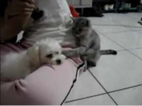 f:id:frnk:20081215162442j:image