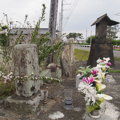 中新田南島の紀伊國川中嶌小長谷八兵衛 f:id:frogcroaks:20160718170032j:plain