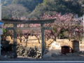 [神仏][神社]石部神社一の鳥居