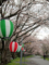 島田大堤の桜並木