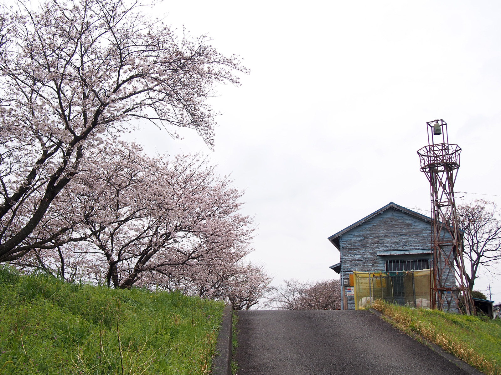 八楠水防倉庫と火の見櫓2017/04/10