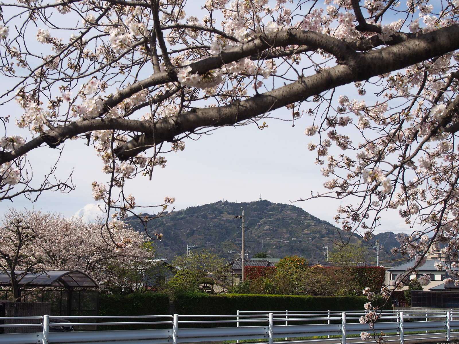 高草山