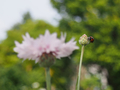 20190514162433