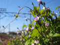 20190514171853