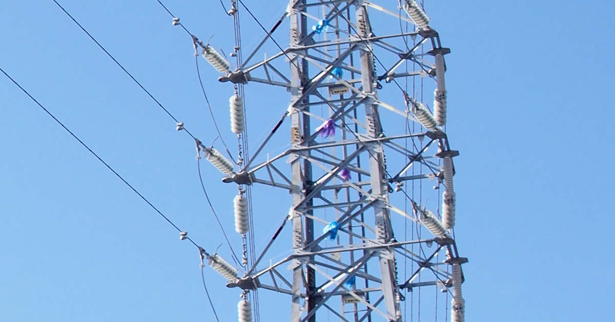 鉄塔に房毛が生えていたんだよ - かえるのうち