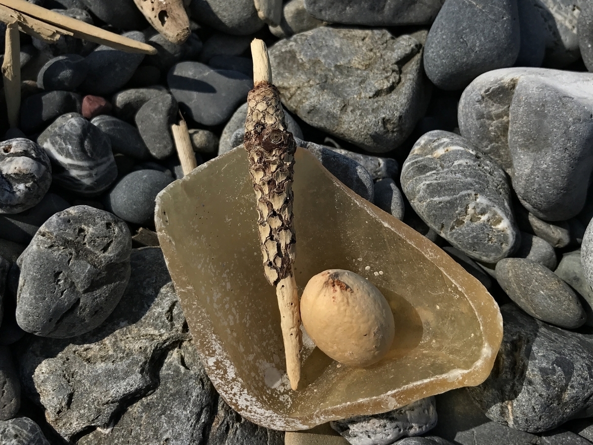 漂着物、枝、種子、瓶の破片