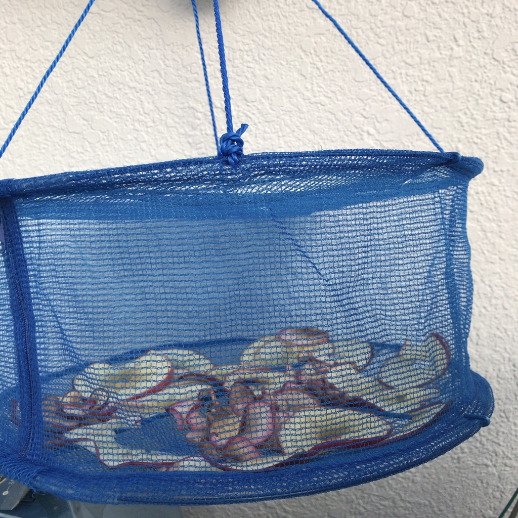 f:id:frogginner100:20181202185033j:plain f:id:frogginner100:20181202185033j:plain