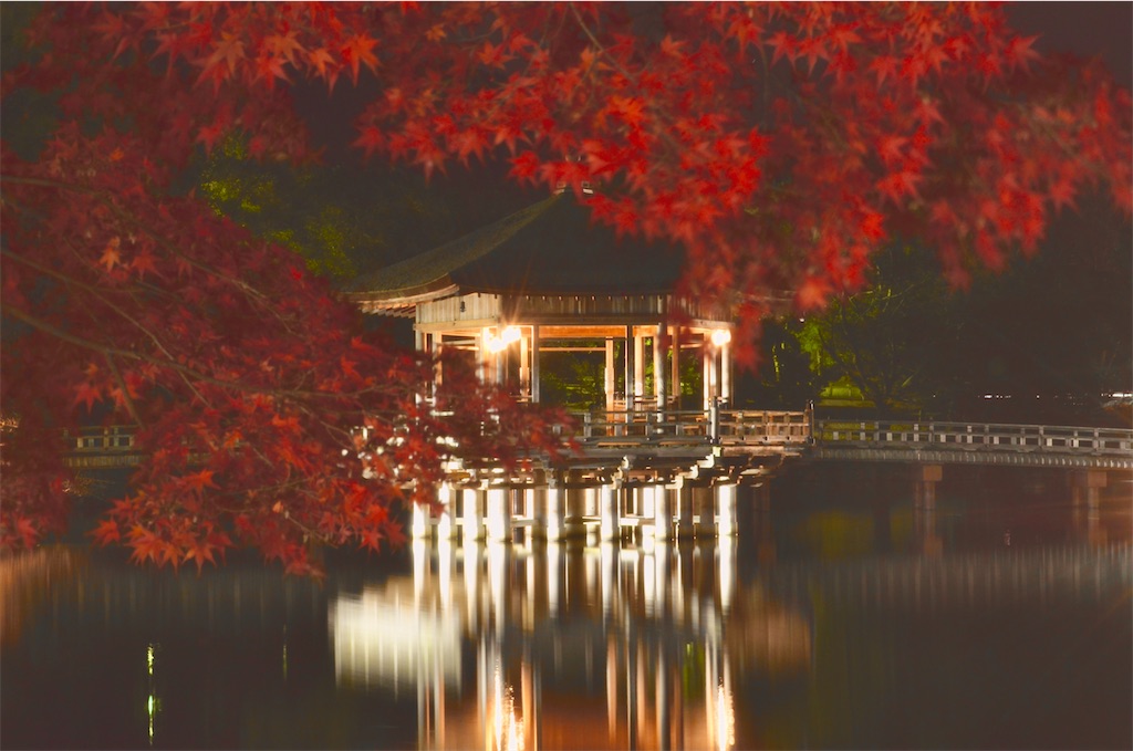 f:id:frokun:20211129194358j:image