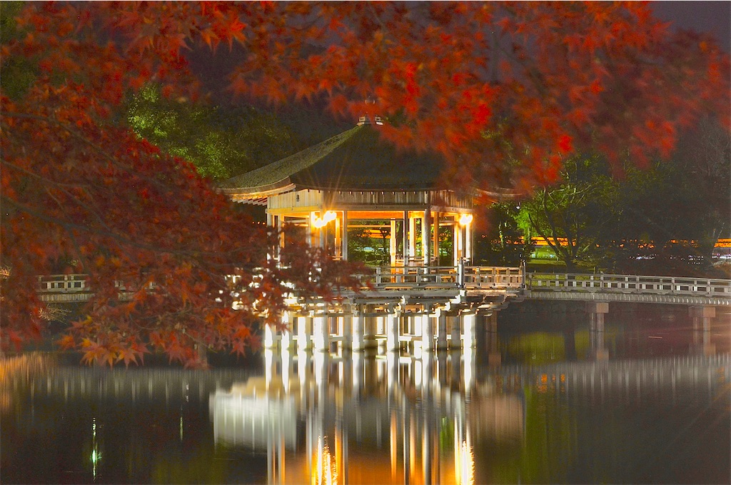 f:id:frokun:20211129194525j:image