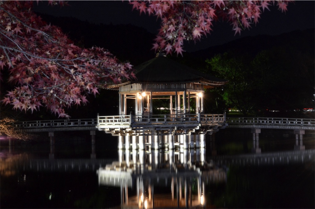 f:id:frokun:20211129194538j:image
