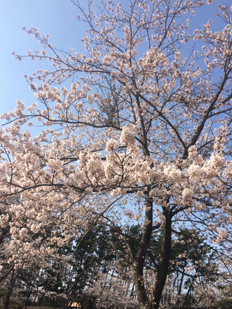 f:id:from-a:20170426122620j:plain