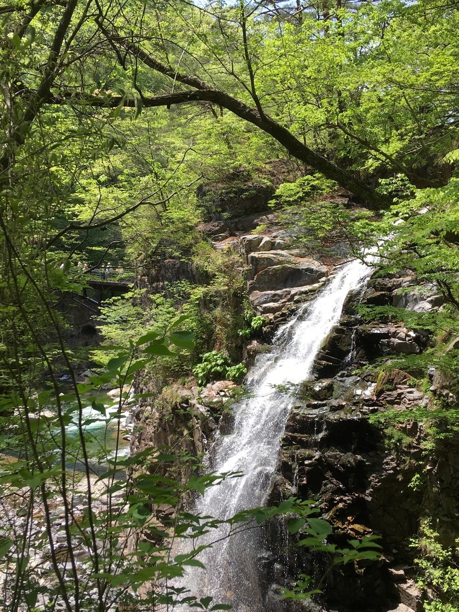 f:id:from13to15:20190512151544j:plain f:id:from13to15:20190512151544j:plain