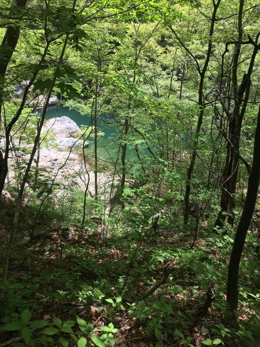 f:id:from13to15:20190512151951j:plain f:id:from13to15:20190512151951j:plain