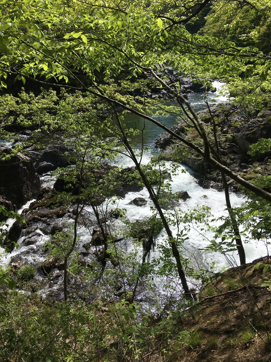 f:id:from13to15:20190512152323j:plain f:id:from13to15:20190512152323j:plain