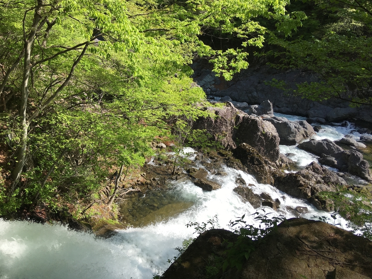 f:id:from13to15:20190512152438j:plain f:id:from13to15:20190512152438j:plain