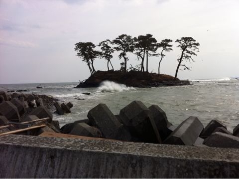 f:id:from2011ne:20110405162825j:image