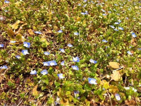 f:id:from2011ne:20110407135539j:image