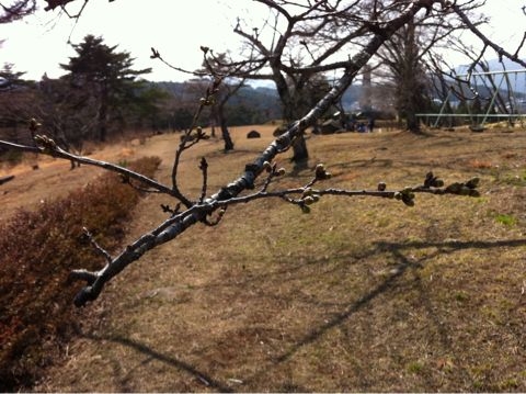 f:id:from2011ne:20110410133856j:image