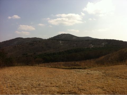 f:id:from2011ne:20110410212654j:image