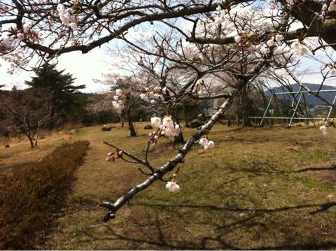 f:id:from2011ne:20110424134245j:image