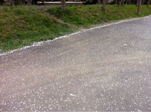f:id:from2011ne:20110430190540j:image