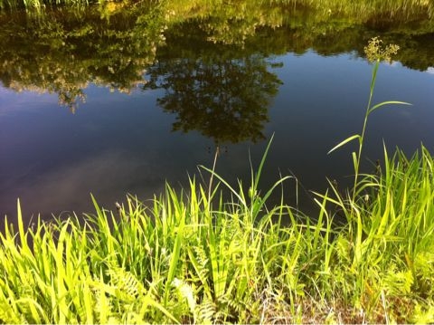 f:id:from2011ne:20110724190351j:image