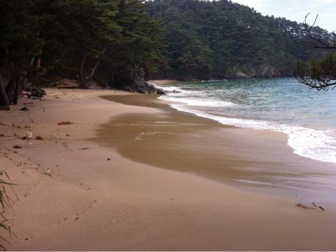 f:id:from2011ne:20110807184457j:image