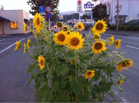 f:id:from2011ne:20110827203219j:image