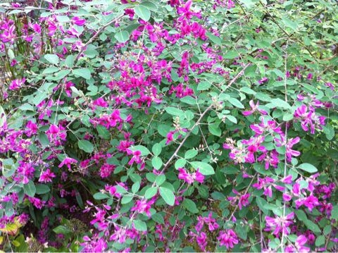 f:id:from2011ne:20110911123604j:image