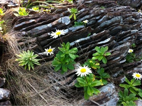 f:id:from2011ne:20111010085231j:image