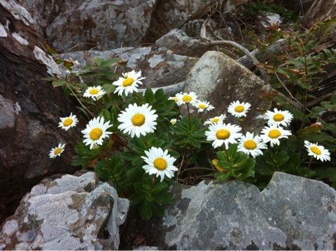 f:id:from2011ne:20111012123524j:image