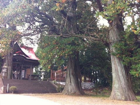 f:id:from2011ne:20111030225021j:image