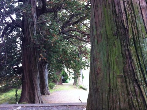 f:id:from2011ne:20111030230834j:image