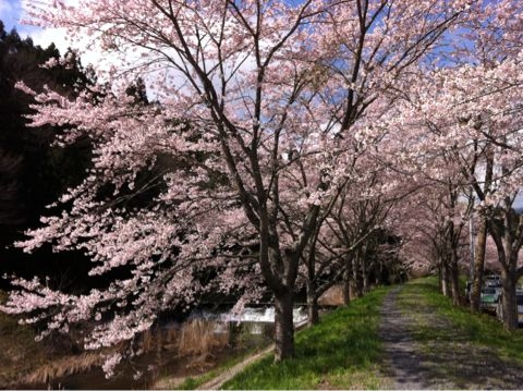f:id:from2011ne:20120504133437j:image