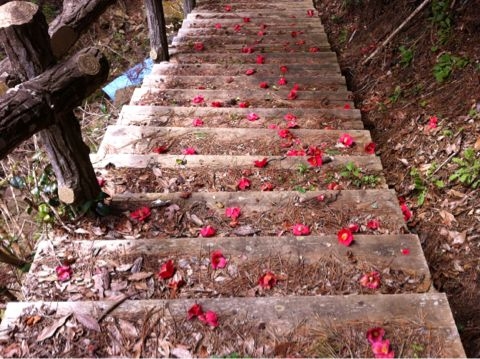f:id:from2011ne:20120510055402j:image
