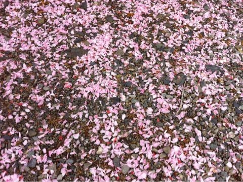 f:id:from2011ne:20120516125039j:image