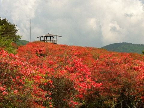 f:id:from2011ne:20120526183136j:image